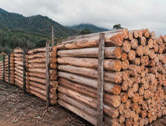 Proporcionan un soporte firme y confiable para cercos perimetrales y sistemas de delimitación, contribuyendo a la protección y organización de los espacios agrícolas.