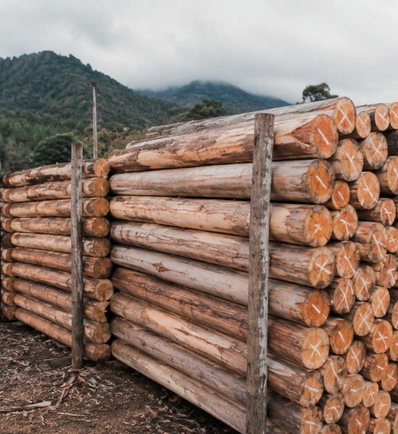 Proporcionan un soporte firme y confiable para cercos perimetrales y sistemas de delimitación, contribuyendo a la protección y organización de los espacios agrícolas.