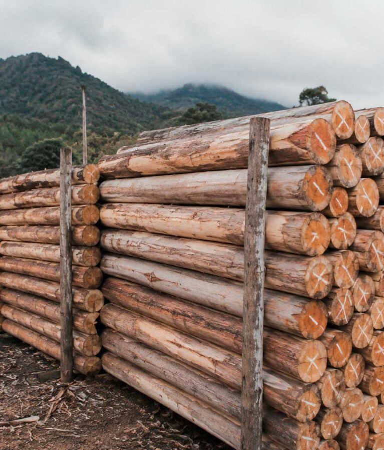 Proporcionan un soporte firme y confiable para cercos perimetrales y sistemas de delimitación, contribuyendo a la protección y organización de los espacios agrícolas.