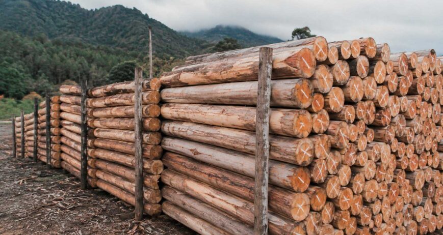 Proporcionan un soporte firme y confiable para cercos perimetrales y sistemas de delimitación, contribuyendo a la protección y organización de los espacios agrícolas.
