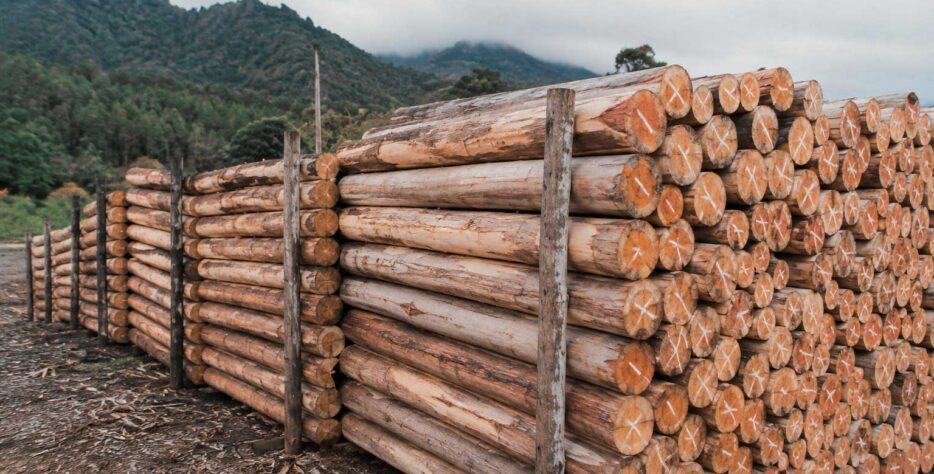 Proporcionan un soporte firme y confiable para cercos perimetrales y sistemas de delimitación, contribuyendo a la protección y organización de los espacios agrícolas.
