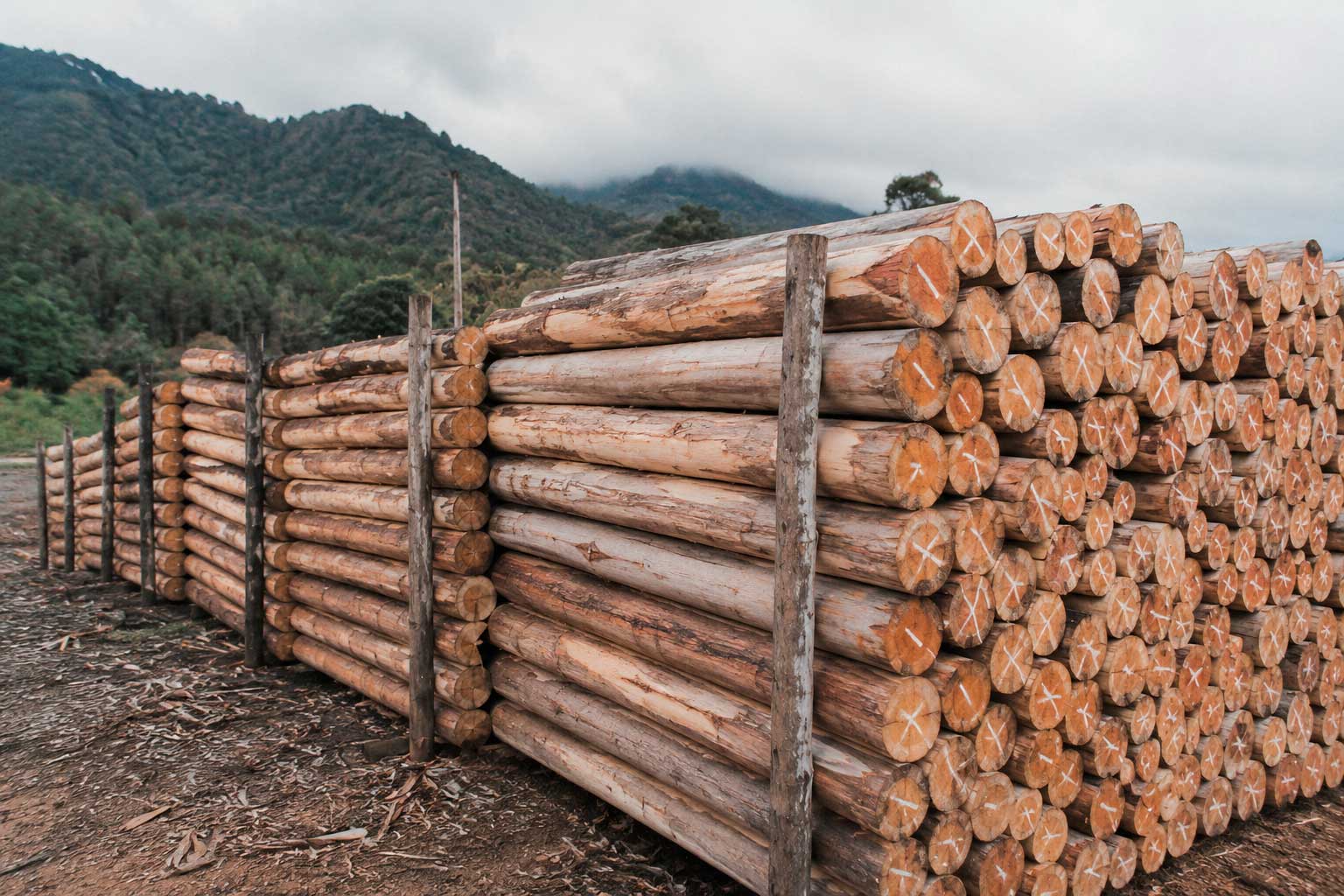 Proporcionan un soporte firme y confiable para cercos perimetrales y sistemas de delimitación, contribuyendo a la protección y organización de los espacios agrícolas.
