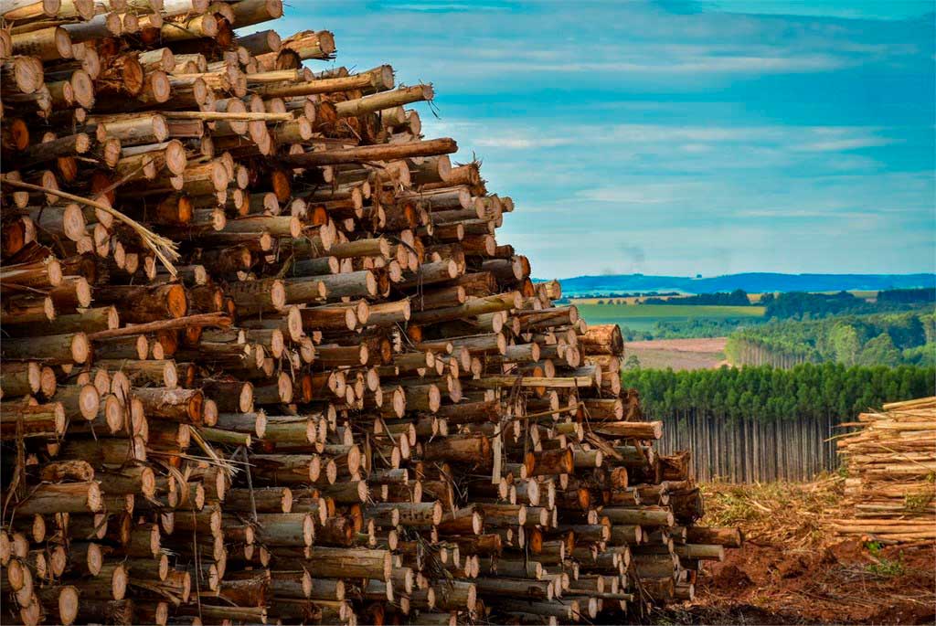 Brindan un soporte resistente y duradero para cercos, cultivos y diversas estructuras agrícolas, ofreciendo un excelente desempeño en condiciones de uso exterior.