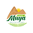 Cimenta